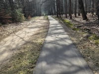 Holterberg über Plaggenweg