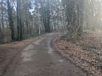 Bergervenstraat von Bergerstraat