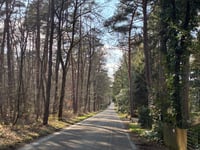 Kaapberg über Schalterdalweg