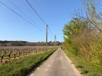 Mont Forton über Le Peu Muleau