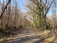 Mont Forton über Le Peu Muleau