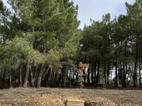 Alto de Barrero von Villamejil