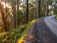 Mount Dandenong da The Basin