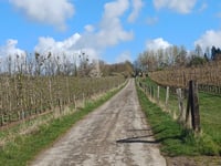 Zavelberg via Rooierweg