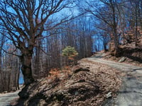 Strada per Giovera di Sopra von Montecrestese