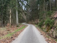 Pannensterzkopf über Raalkopf