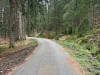 Pannensterzkopf über Raalkopf