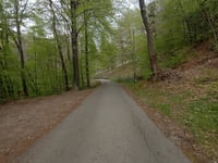Cima Pianca von Caslano