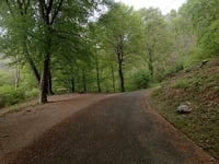 Cima Pianca von Caslano