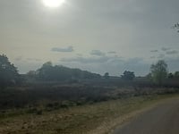 Toeristische weg