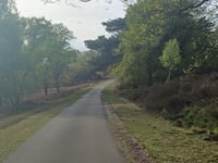 Toeristische weg