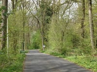 Zonneheuvelweg