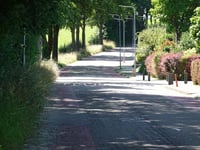 Boschweg vanuit Hellebroek