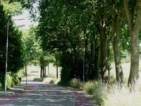 Boschweg vanuit Hellebroek