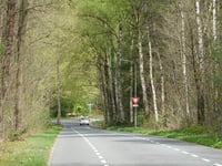 Beelaertslaan über Valkenburglaan