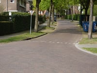 Nicolaas Maesstraat przez Van Heemstralaan
