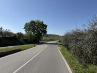 Poggio Macia Morta depuis San Donato in Poggio