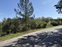 Poggio Macia Morta depuis San Donato in Poggio