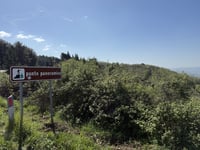 Poggio Macia Morta depuis San Donato in Poggio