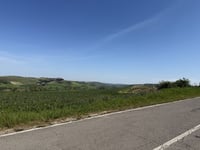 Bellaria von Torrenieri