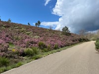 Alto de Ucedo depuis Porqueros