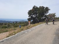 Route Forestière des Crêtes desde Col du Caguo Ven