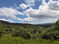 Suc d'Émeral / Planèze depuis Granoux