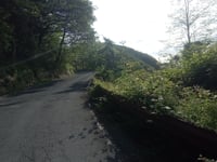 Passo di Ghimbegna from Sanremo