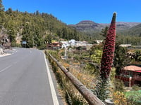 El Teide
