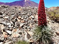 El Teide