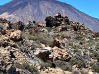 El Teide z Puerto de la Cruz