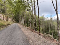 Col de l'Oumenet from Saint Julien d'Arpaon