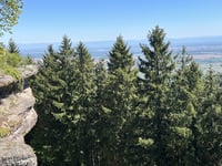 Mont Sainte Odile da Ottrott via Saint Nabor