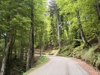 Les Chaberts from Les Bayles via Routes des Rages