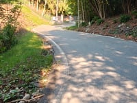 Via Pascolo