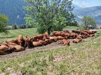 Mont Villaret z Séez