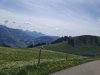 Gestelenpass / Meiebergalp depuis Grubenwald