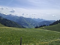 Gestelenpass / Meiebergalp depuis Grubenwald