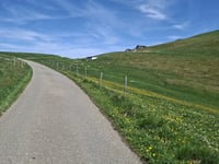 Gestelenpass / Meiebergalp depuis Grubenwald