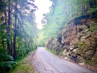Col de la Forclaz