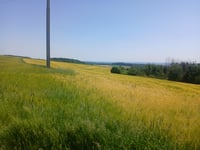 Frettelburbësch vanuit Nothomb