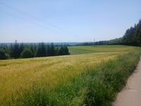 Frettelburbësch vanuit Nothomb