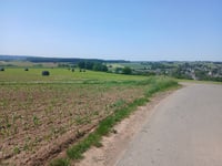 Frettelburbësch vanuit Nothomb