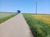 Frettelburbësch vanuit Nothomb
