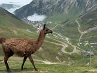 Col du Tourmalet