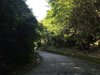 Montorfano