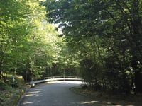 Montorfano