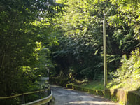 Montorfano