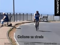 Cipressa