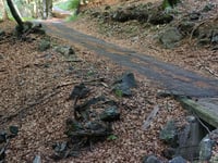 Alpe Rossombolmo von Ornavasso